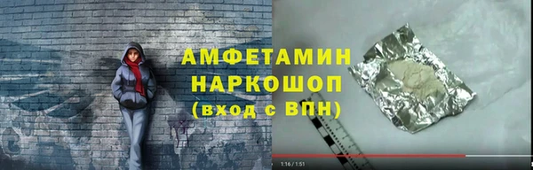 хмурый Аркадак