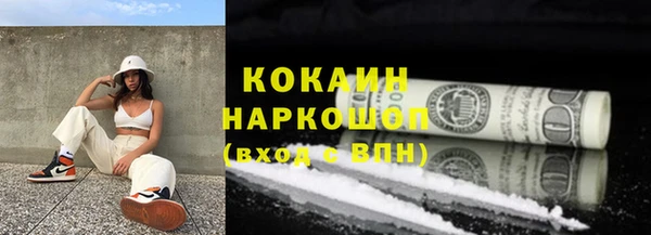 хмурый Аркадак