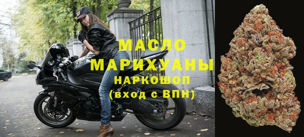 хмурый Аркадак