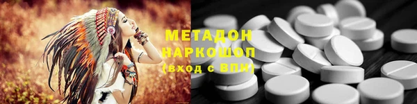 хмурый Аркадак