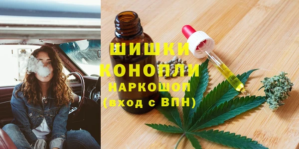 хмурый Аркадак