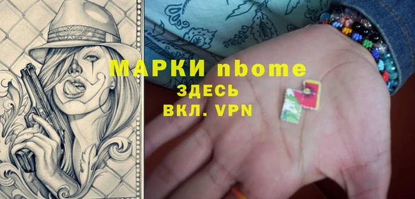 хмурый Аркадак