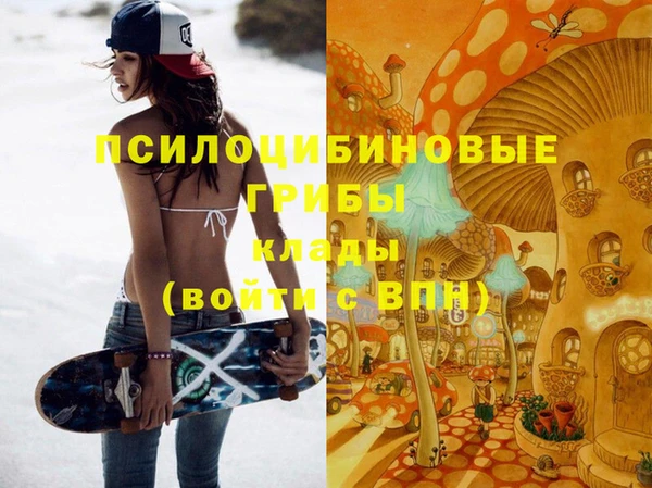 хмурый Аркадак