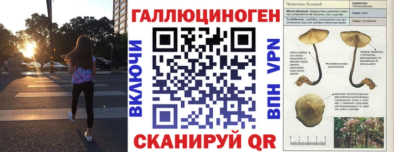 Галлюциногенные грибы GOLDEN TEACHER  Магас 